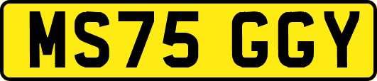 MS75GGY