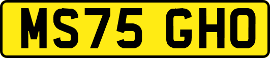 MS75GHO