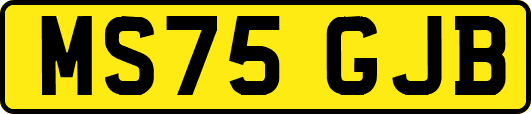 MS75GJB