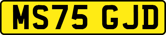 MS75GJD