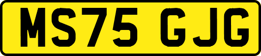 MS75GJG