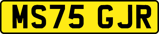 MS75GJR