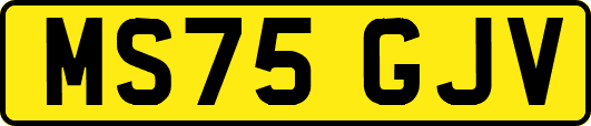 MS75GJV