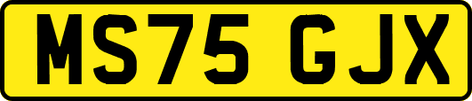 MS75GJX