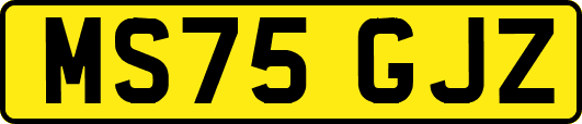 MS75GJZ