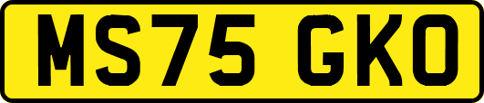 MS75GKO