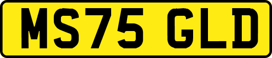 MS75GLD