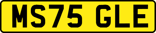 MS75GLE