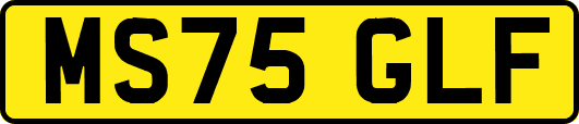 MS75GLF