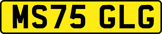 MS75GLG