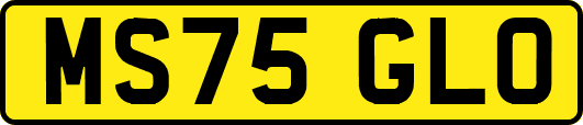 MS75GLO