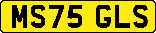 MS75GLS