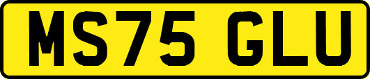 MS75GLU