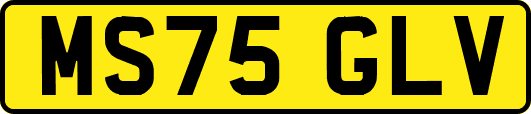 MS75GLV
