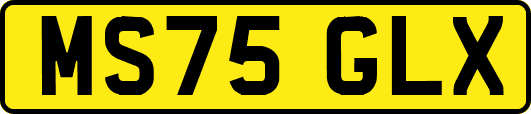 MS75GLX