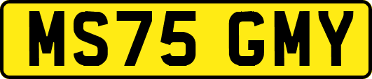 MS75GMY