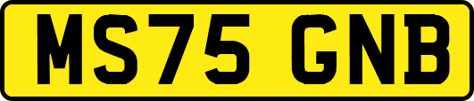 MS75GNB