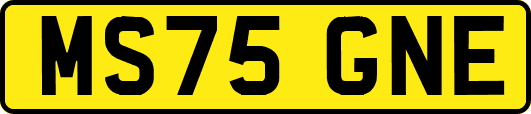 MS75GNE