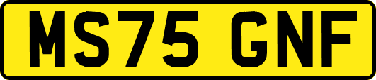 MS75GNF