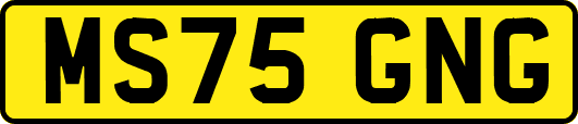 MS75GNG