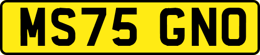 MS75GNO