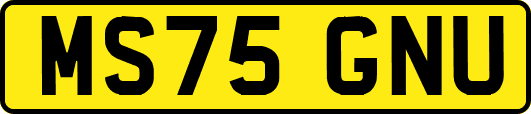 MS75GNU
