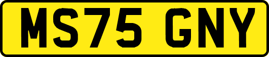 MS75GNY
