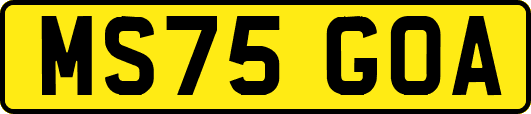 MS75GOA