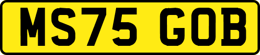 MS75GOB