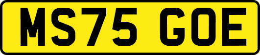 MS75GOE