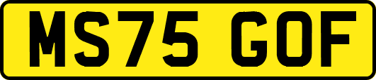 MS75GOF