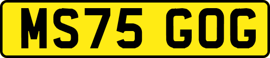 MS75GOG