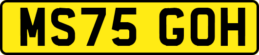 MS75GOH