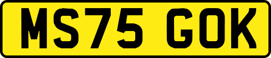 MS75GOK