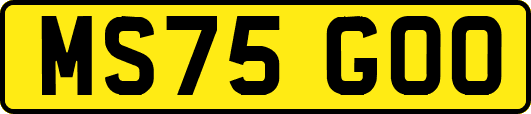 MS75GOO