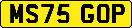 MS75GOP