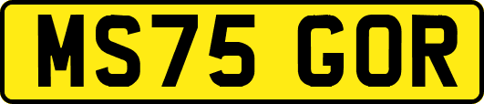 MS75GOR
