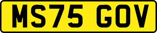 MS75GOV