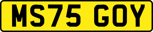 MS75GOY