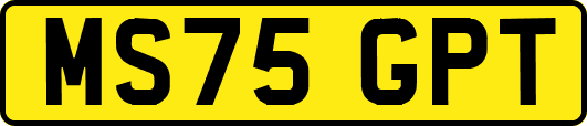 MS75GPT