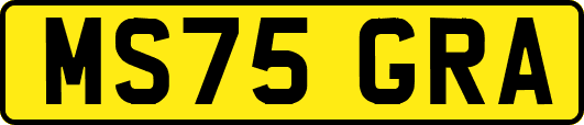 MS75GRA