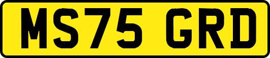 MS75GRD