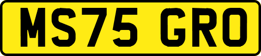 MS75GRO