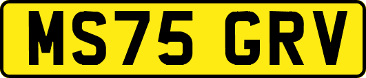 MS75GRV