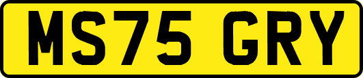 MS75GRY