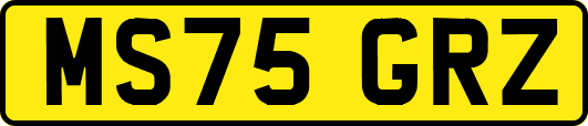 MS75GRZ
