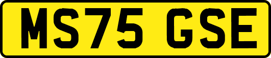 MS75GSE