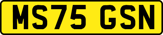 MS75GSN