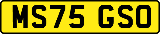 MS75GSO
