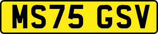 MS75GSV